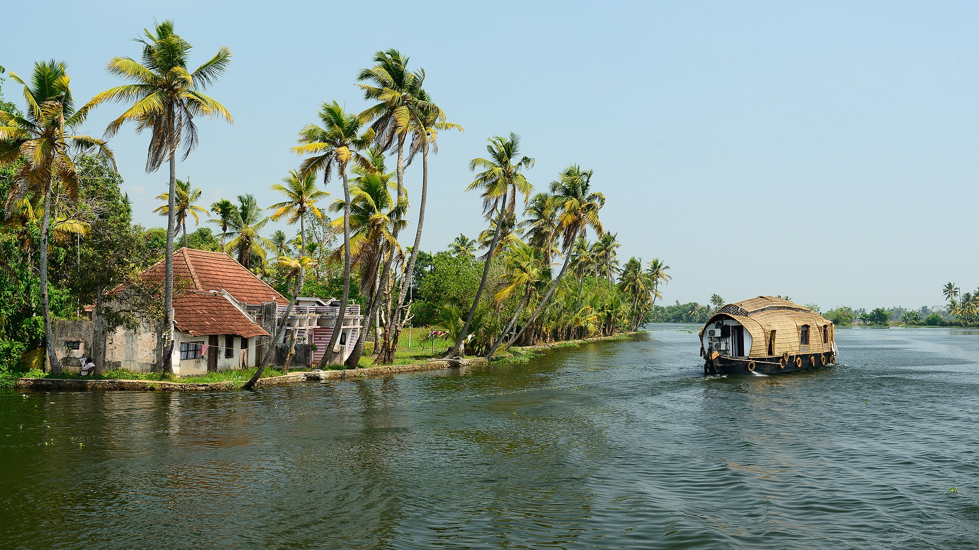 Mental Wellness Tourism